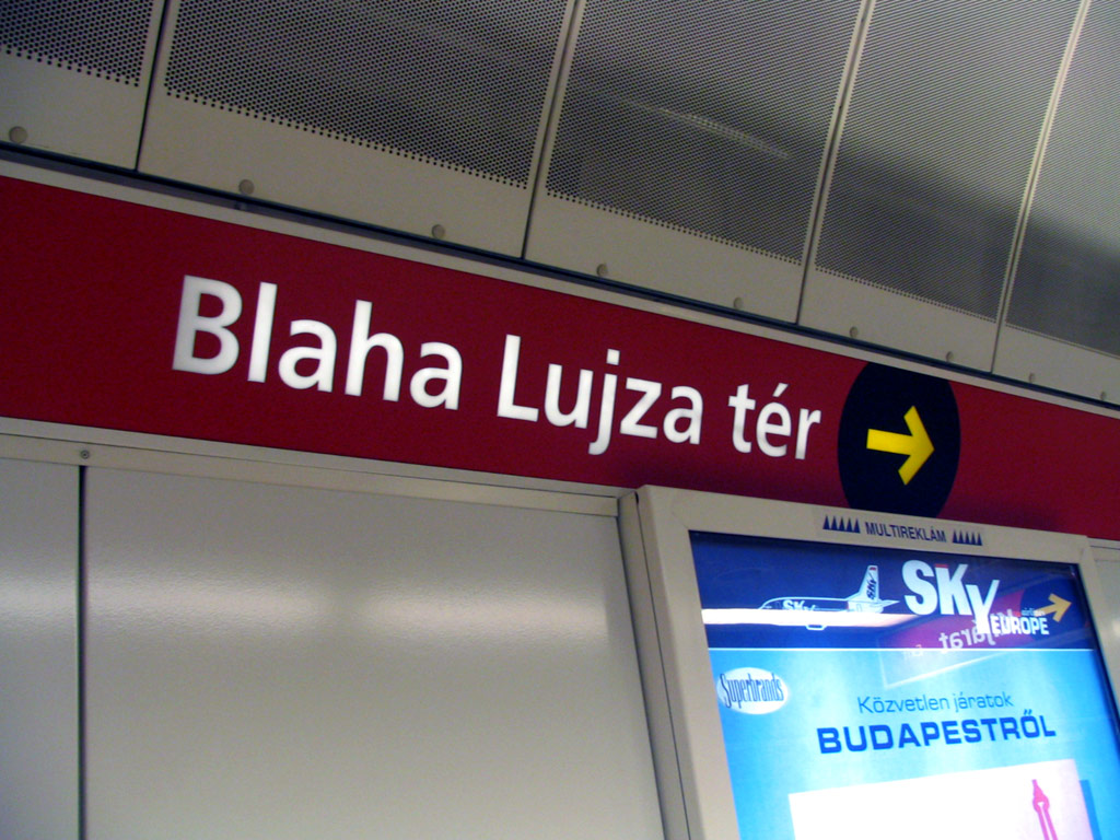 Nzev stanice Blaha Lujza tr